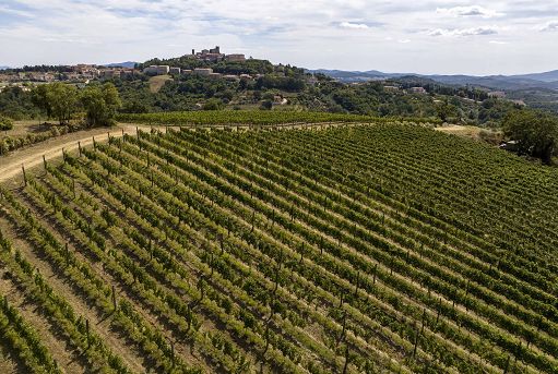 Vino, Consorzio Maremma Toscana compie 10 anni e supera 7 mln bottiglie