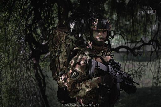 Nato, al via Steadfast Dart 2025 l’esercitazione chiave dell’anno