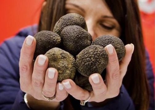 A Roccafluvione si celebra il tartufo nero marchigiano