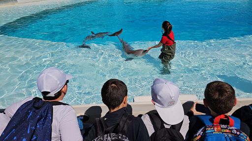 Al parco Zoomarine per educare bambini a rispetto e conoscenza animali