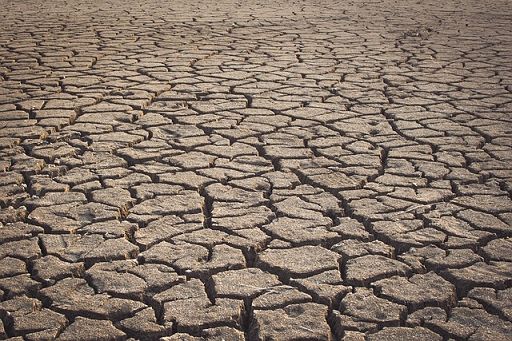 Confagri Puglia: siccità, approvare emendamento La Salandra