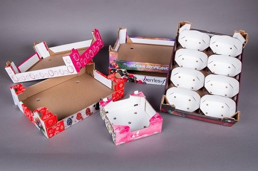 Pro-Gest a Fruit Logistica: +15% produzione packaging ortofrutta