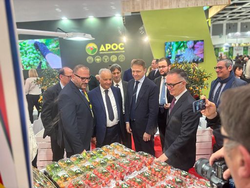 Fruit logistica, il pomodoro Pachino Igp verso nuovi mercati esteri