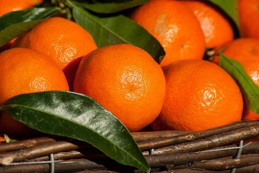 E.-R. capofila progetto Ue per recupero eccedenze ortofrutta