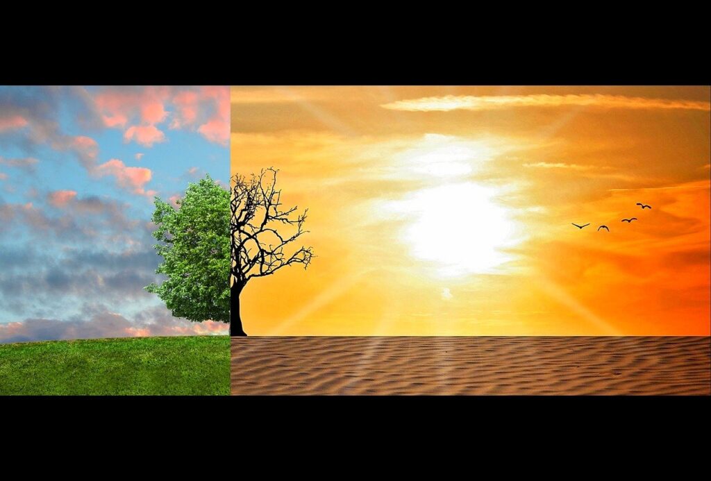 Confapi: rinviare obbligo per polizze catastrofi clima