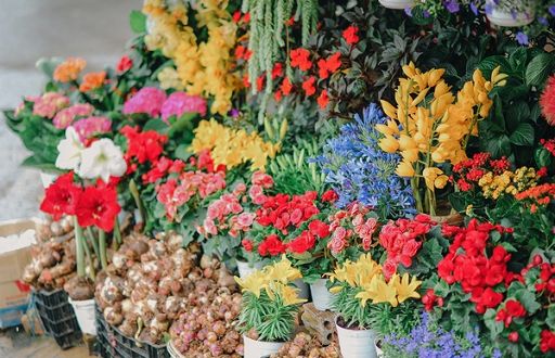 Dal 6 al 6 aprile il Firenze Flower Show al Giardino Corsini