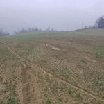 Confagri Piacenza: aperto bando sostegno per alluvioni del 17/10