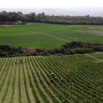 Consorzio del Brunello a Vinitaly con 106 aziende e la mappa geoviticola