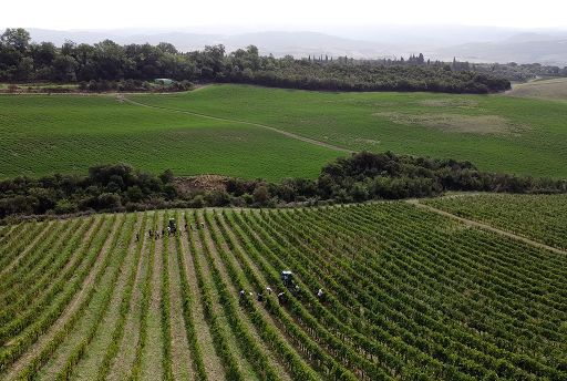 Consorzio del Brunello a Vinitaly con 106 aziende e la mappa geoviticola