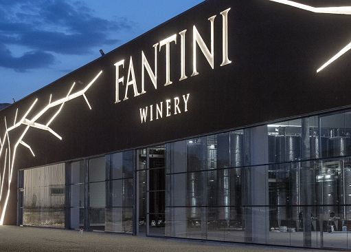 Vino, Fantini Wines cresce e investe sui nuovi mercati dell’Africa