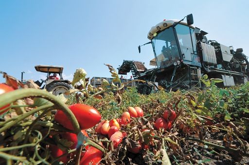 Dazi, Cia: a rischio export agroalimentare di 1 provincia su 5