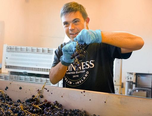 “Il Mangiabottoni”: la nuova visione del vino di Camerani con Aias