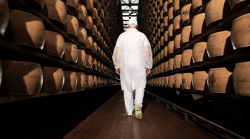 Lactalis nel 2024 utile cala del 16%, ricavi a 30 mld (+2,8%)