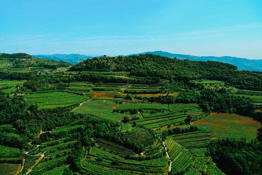 Vino, Cantina bio Ca’ Rugate alleggerisce del 25% le sue bottiglie