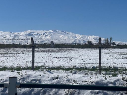 A rischio raccolti albicocche, nocciole e uva sultanina in Turchia