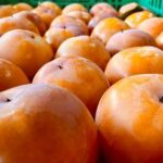 Coldiretti: valore ortofrutta triplicato in 20 anni, record export