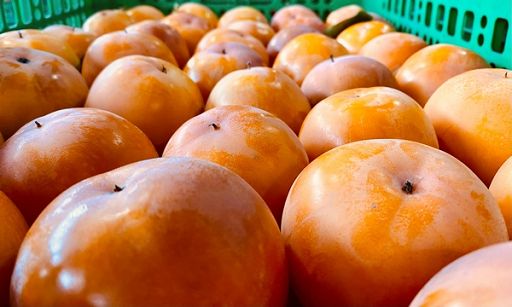 Coldiretti: valore ortofrutta triplicato in 20 anni, record export