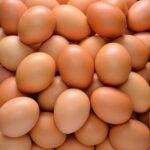 Avicoltura, La Pietra (Masaf): pronte linee guida sessaggio in ovo