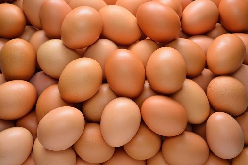 Avicoltura, La Pietra (Masaf): pronte linee guida sessaggio in ovo