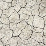 Al Sud 9 imprese alimentari su 10 danneggiate da cambiamento clima