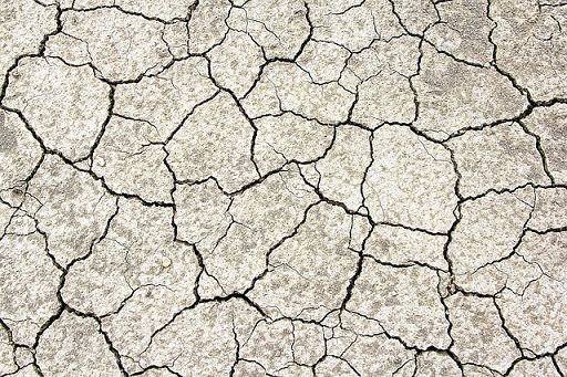 Al Sud 9 imprese alimentari su 10 danneggiate da cambiamento clima