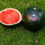 Meno plastica e meno pesticidi per Consorzio Dolce Passione