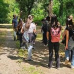 Da novembre 2024 aggiunti 8.500 alberi nelle Oasi del Wwf