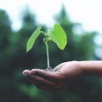 Nasce in Toscana il tavolo regionale dell’agrobiodiversità