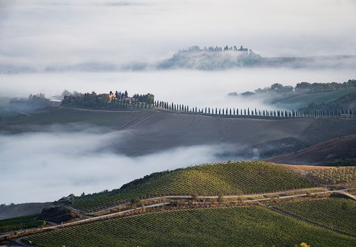 Vino, Consorzio Brunello: eletto il nuovo Consiglio di amministrazione
