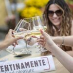 Vino, “Emilia Wine Experience” parte con “Festival della Malvasia”