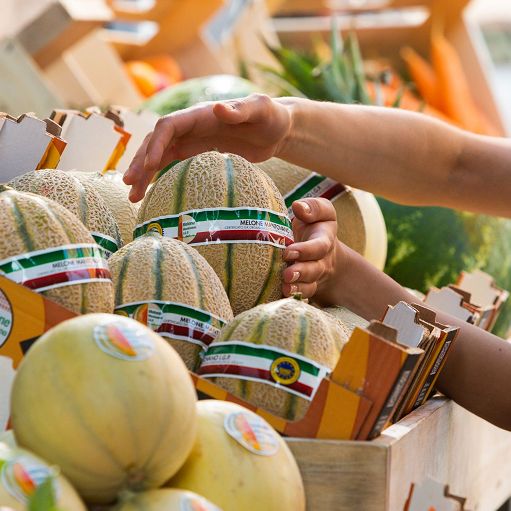 In calo all’ingrosso prezzi meloni -6% e piselli -8,7%