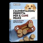 Ricette casalinghe per cani e gatti: la novità del Cucchiaio d’argento