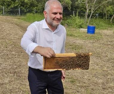 D’Eramo (Masaf): puntiamo a nuovo piano apistico nazionale