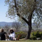 Mtv Umbria: 44 Cantine accoglieranno i visitatori il 24 e 25 maggio