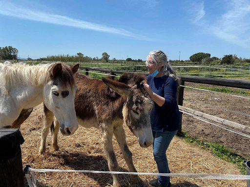 Cresce abbandono di cavalli in Italia, onlus recupera i “rottami”