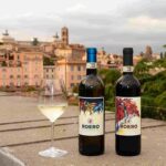 Vino, il Roero in tour si racconta a Roma, Napoli, Milano e Bologna