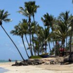 Repubblica Dominicana, non solo spiagge: natura, esperienze autentiche e nuove rotte