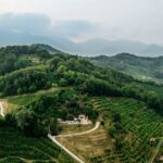 Vino, alla Cantina La Farra il ciclo di eventi “Dialoghi a Col Brià”