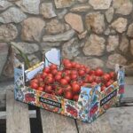 Agromonte punta su export e autoproduzione 100% pomodoro