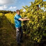 Vino, Giannitessari lancia “Durello in Malga” tra sapori della Lessinia