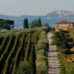 Giani e Saccardi: bene riconferma Rossi a guida vino Nobile Docg