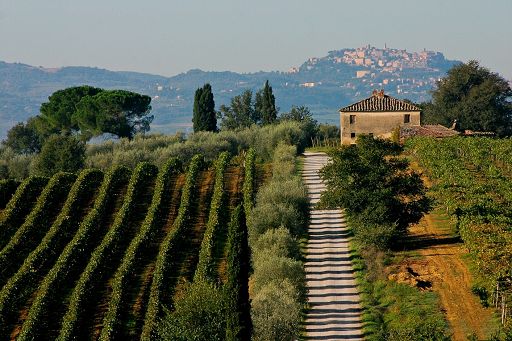 Giani e Saccardi: bene riconferma Rossi a guida vino Nobile Docg
