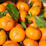 Agea attiva in Sicilia formazione conformità prodotti ortofrutta