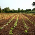 L’innovazione nell’agrofarmaceutico al centro del Novalis Forum