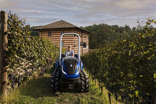 Confagri Cuneo: serve un piano di rilancio del vino piemontese