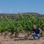 Vino, Fantini cresce in Spagna acquisendo la Cantina ex Venta la Vega