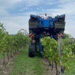 Agea emana due decreti: erogati 64 mln euro al settore primario