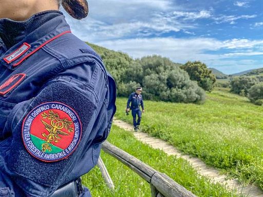 In nuovo concorso allievi carabinieri anche specializzazione Forestale