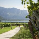 Enoturismo in Alto Adige: un’estate tra Cantine, natura e sport