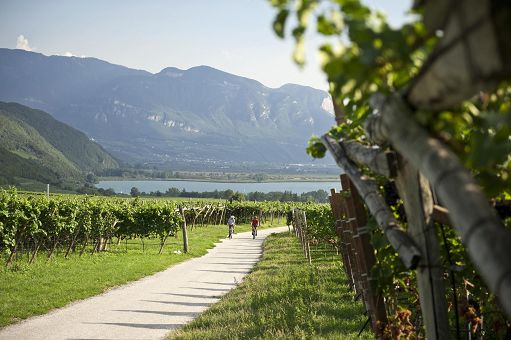 Enoturismo in Alto Adige: un’estate tra Cantine, natura e sport